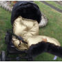 Kép 2/7 - fényes arany színű baba bundazsák fekete szőrmével