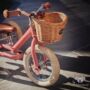 Kép 3/6 - Trybike gyerek biciklis kosár univerzális rögzítő pánttal