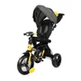 Kép 1/3 - Lorelli Enduro tricikli - Yellow&Black