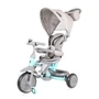 Kép 1/4 - Lorelli Lucky tricikli - Grey&Green