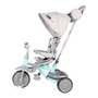 Kép 4/4 - Lorelli Lucky tricikli - Grey&Green
