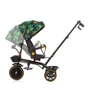 Kép 6/7 - Chipolino Max Sport tricikli kupolával - Jungle