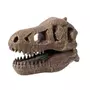 Kép 4/4 - Tyrannosaurus koponya felfedező készlet BUKI
